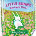 Little Bunny, Spring Is Here!