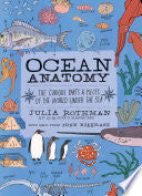 Ocean Anatomy