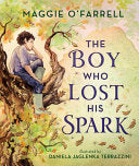Boy Who Lost His Spark by Phoenix Books