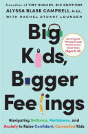 Big Kids, Bigger Feelings by Phoenix Books