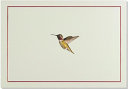 Note Cards Hummingbird Flight