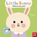 Baby Faces: Little Bunny, Where Are You? by Phoenix Books