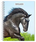 Horse Lovers 2026 6 X 7.75 Inch Spiral-Bound Wire- by Phoenix Books