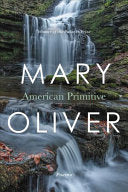 American Primitive by Phoenix Books