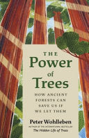 Power of Trees How Ancient Forests Can Save Us if