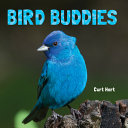 Bird Buddies by Phoenix Books