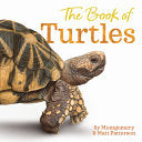 Book of Turtles by Phoenix Books