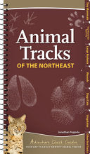 Animal Tracks of the Northeast: Your Way to Easily by Phoenix Books
