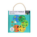 Discovery Puzzle: Life Cycle by Phoenix Books
