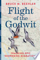Flight of the Godwit: Tracking Epic Shorebird Migr by Phoenix Books