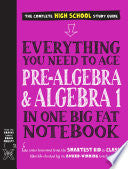 Everything You Need to Ace Pre-Algebra and Algebra by Phoenix Books