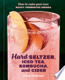 Hard Seltzer, Iced Tea, Kombucha, and Cider: How t by Phoenix Books