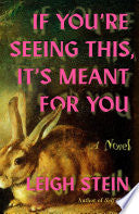 If You're Seeing This, It's Meant for You: A Novel by Phoenix Books