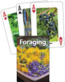 Foraging Playing Cards by Phoenix Books