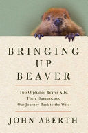 Bringing Up Beaver: Two Orphaned Beaver Kits, Thei by Phoenix Books