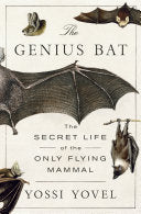 Genius Bat: The Secret Life of the Only Flying Mam by Phoenix Books