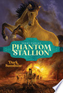 Dark Sunshine by Phoenix Books