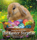 Easter Surprise BOARD BOOK by Phoenix Books