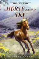 Horse Named Sky by Phoenix Books
