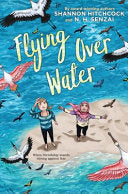 Flying Over Water by Phoenix Books