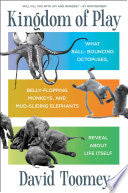 Kingdom of Play: What Ball-bouncing Octopuses, Bel by Phoenix Books
