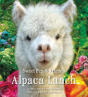 Alpaca Lunch Book 4 by Phoenix Books