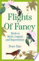 Flights of Fancy