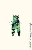 Cicada by Phoenix Books