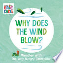 Why Does the Wind Blow?