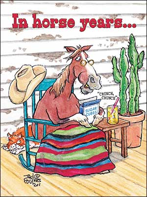 Birthday Card - Horse Years