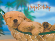 Paws And Enjoy - Birthday Card