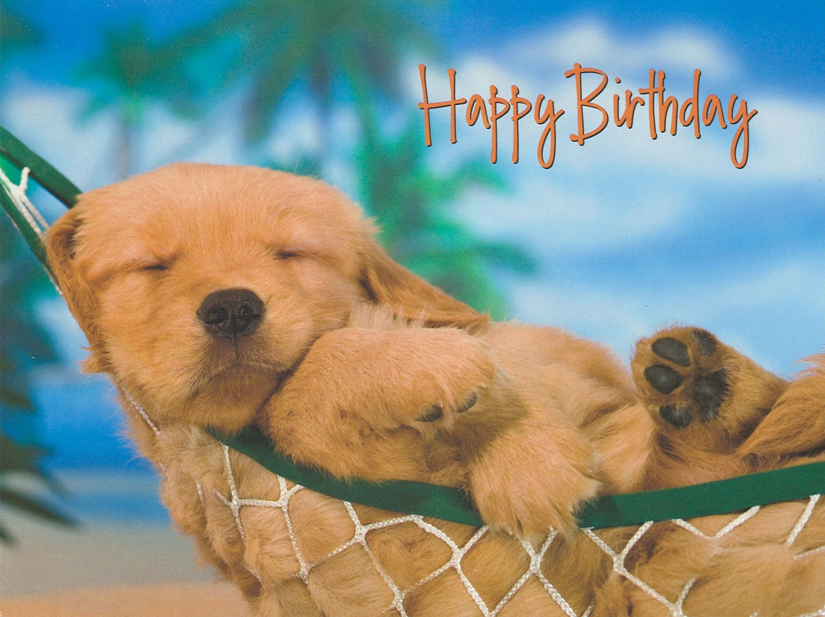 Paws And Enjoy - Birthday Card