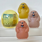 Gashapon Capsule Teen & Up Soft Marmot (Sold As An Individual Capsule) by Homeportonline