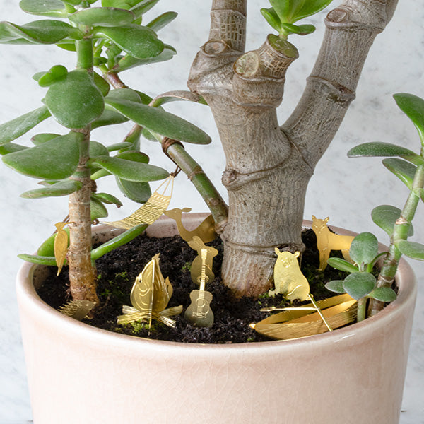 Tiny Camping For Your Plants