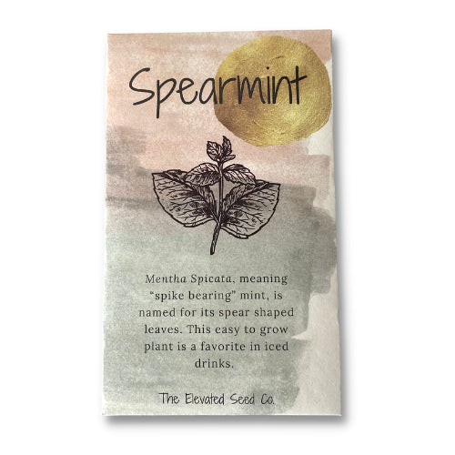 Spearmint Garden Seeds by Wild Lark