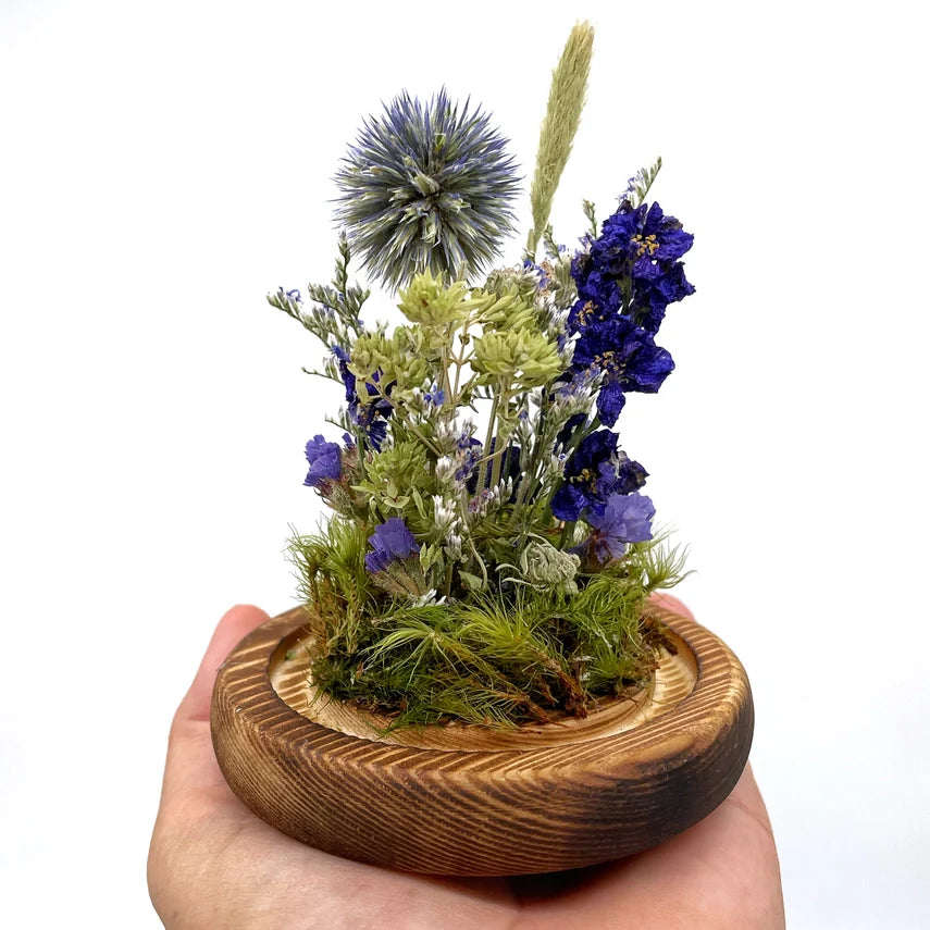 The Little Earth and Sky Terrarium