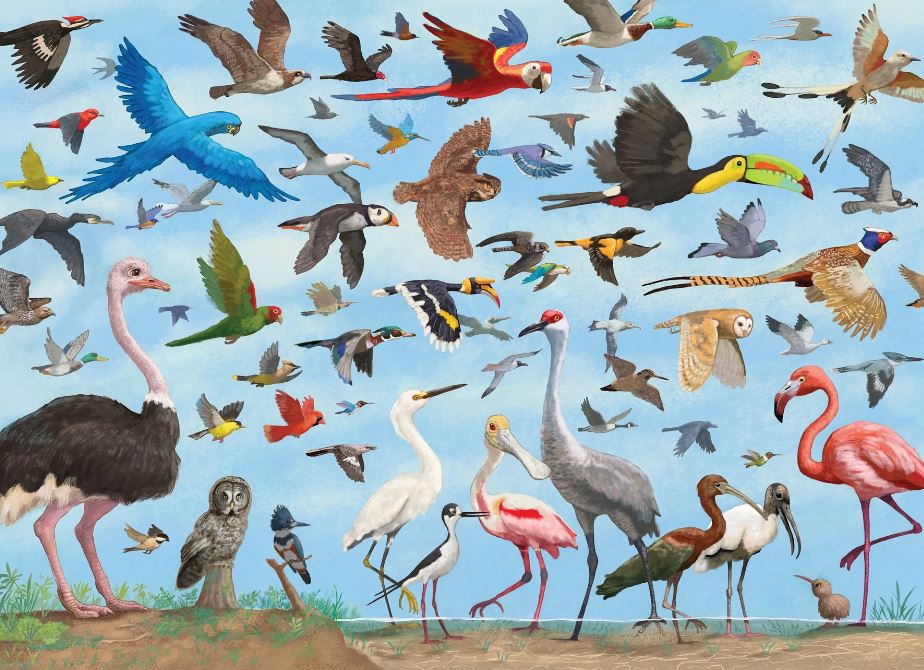 Puzzle 1000 Piece All the Birds by Homeportonline