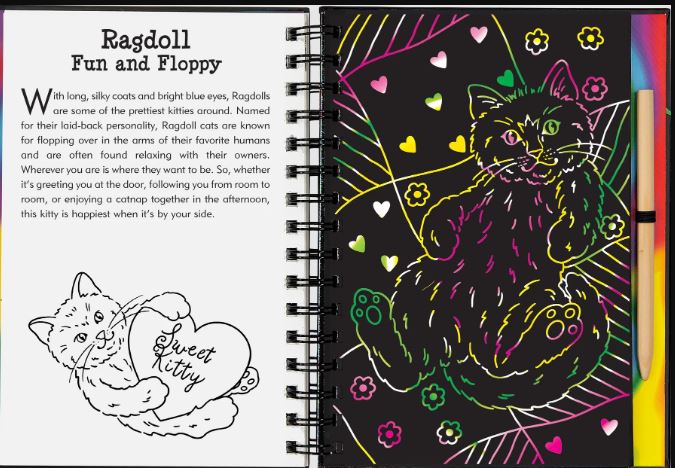 Scratch And Sketch Trace Along Activity Book Kittens by Homeportonline