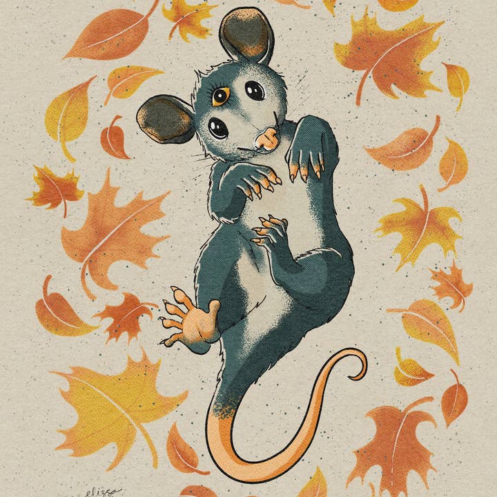Autumn Opossum Art Print