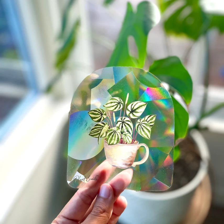 Rainbow Maker Suncatcher Window Decal Sticker