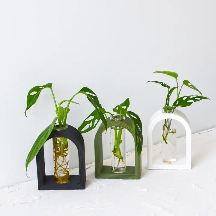Rainbow Arch Propagation Stand