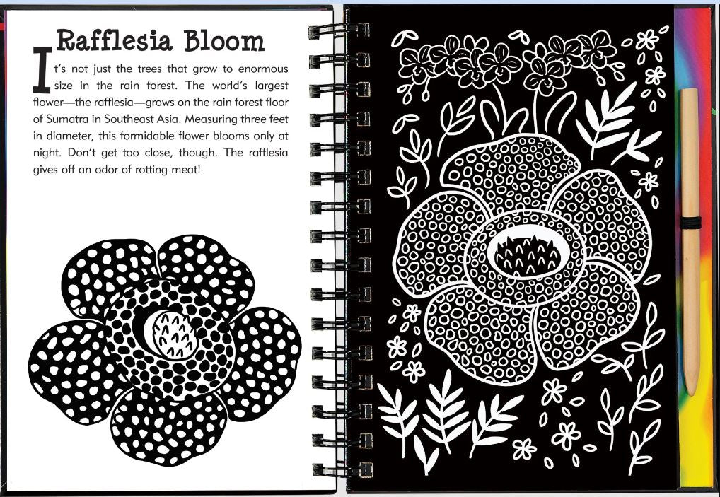 Scratch And Sketch Trace Along Activity Book Rainforest by Homeportonline