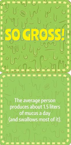 Noteworthy Card Deck Lunch Box Notes Gross Facts by Homeportonline