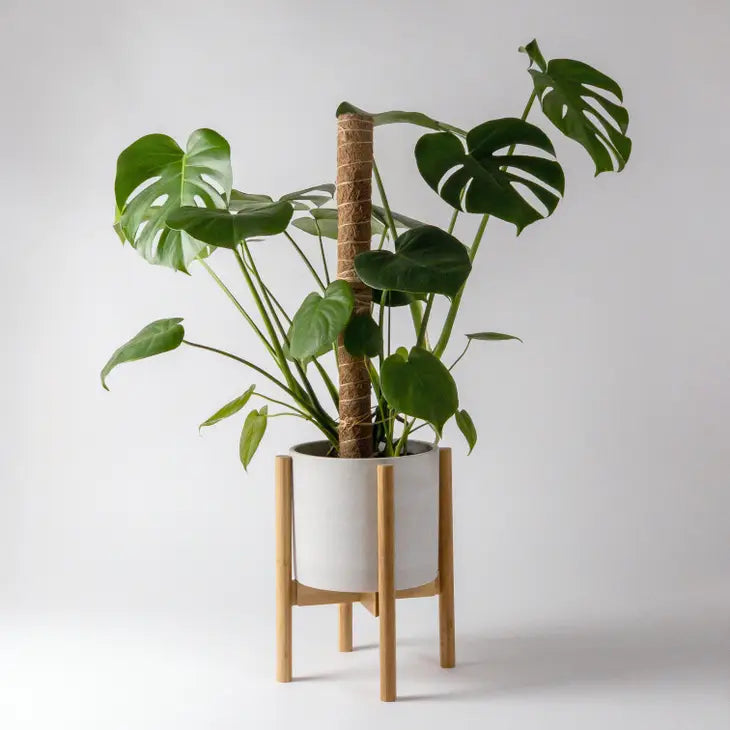 Coco Coir Pole for Plant Support Large