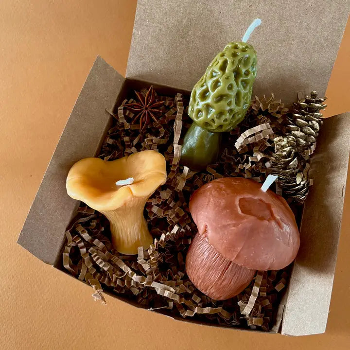 Colorful Mushroom Candles