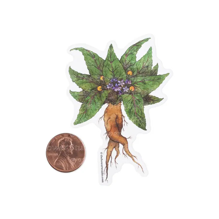 Eco-Sticker by Wild Lark