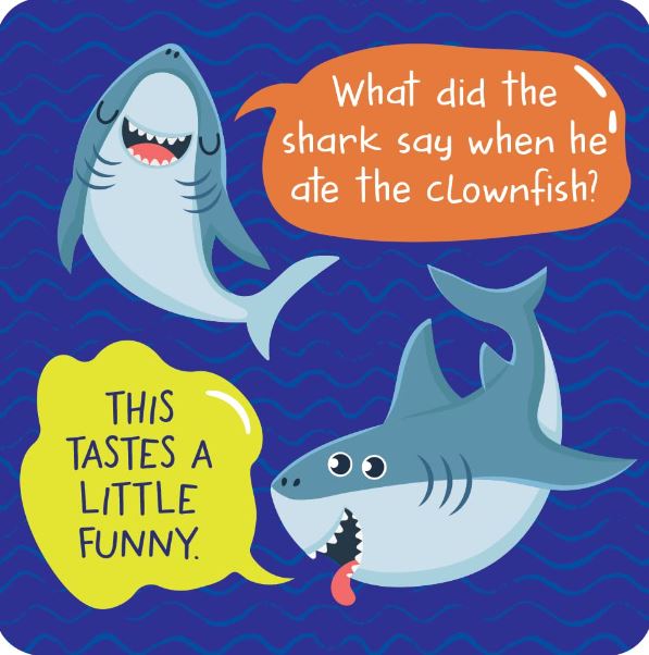 Noteworthy Card Deck Lunch Box Notes More Jokes by Homeportonline
