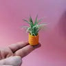 Air Plant + Mini Planter