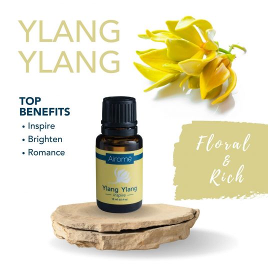 Essential Oil - 15mL - Ylang Ylang by Homeportonline