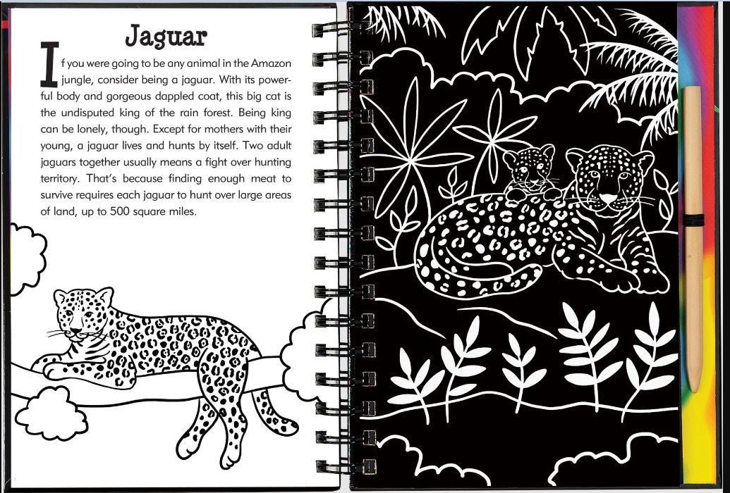 Scratch And Sketch Trace Along Activity Book Rainforest by Homeportonline